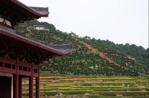 应天寺图册_360百科