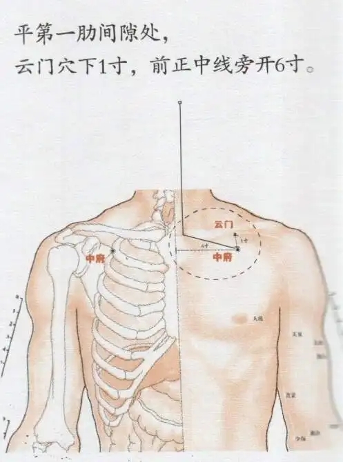 中府穴图册_360百科