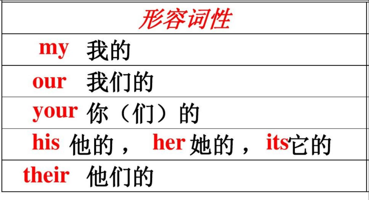 形容词性物主代词图册_360百科
