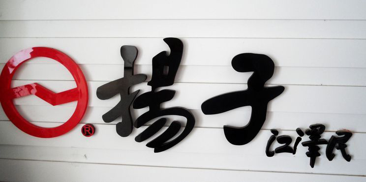 中国扬子集团图册_360百科