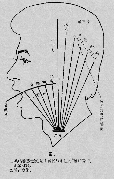 头腔共鸣图解图片