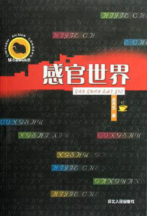 深入感官世界电影的神奇世界