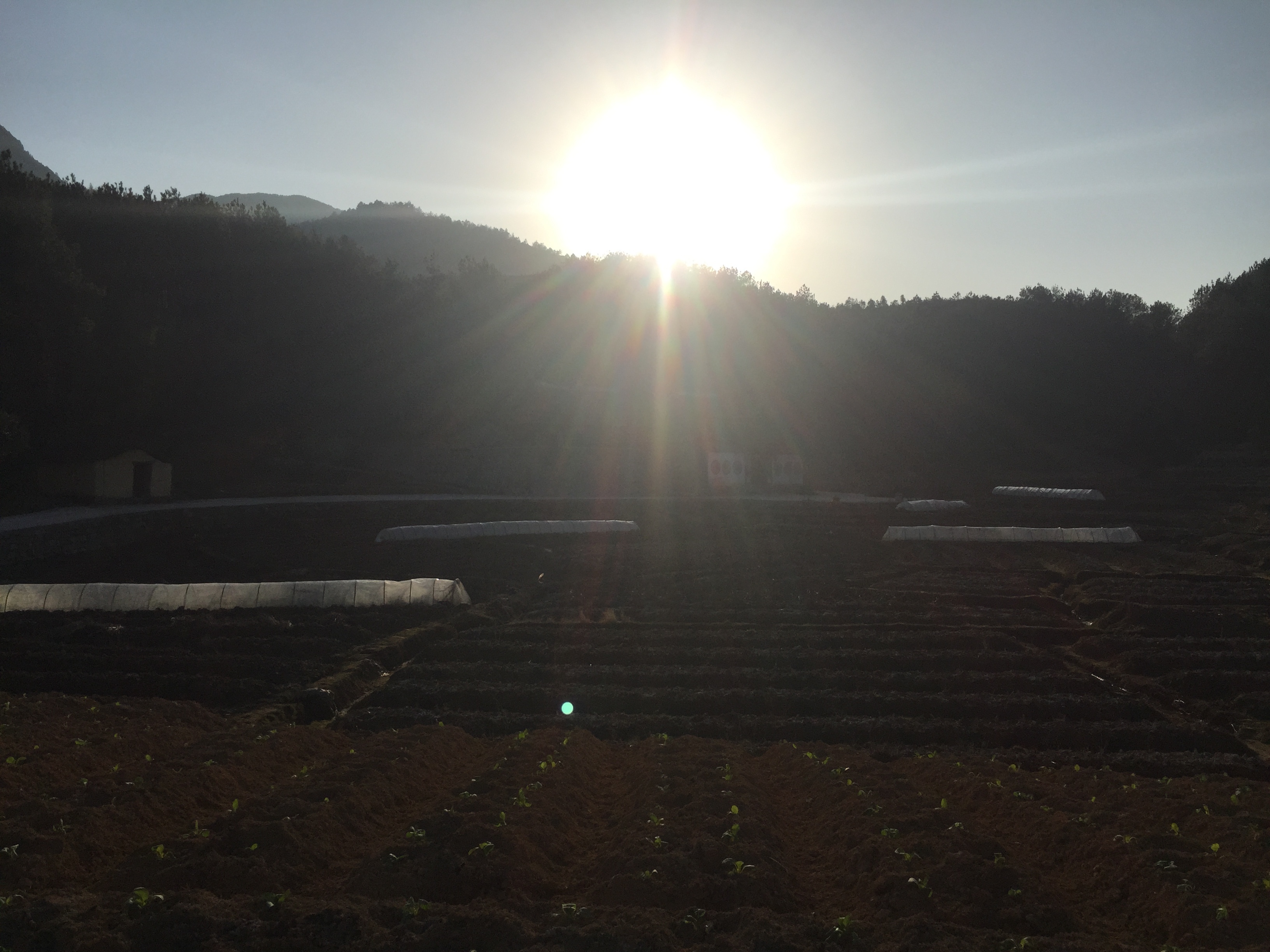 双峰寺图册_360百科