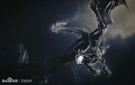 黑王图册_360百科