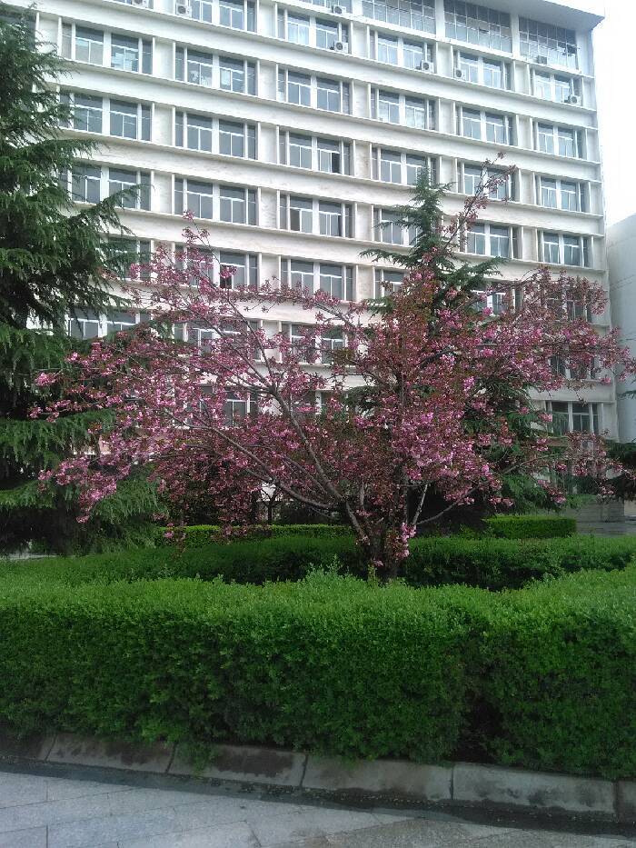 咸阳师范学院图册_360百科