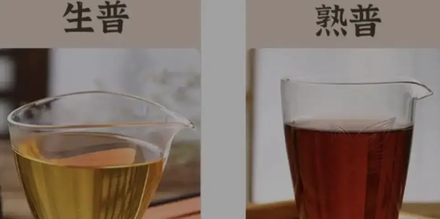 生普和熟普有什么不同功效_360新知