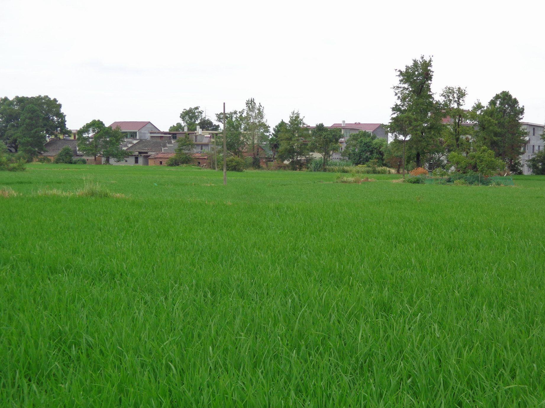 甘竹村图册_360百科