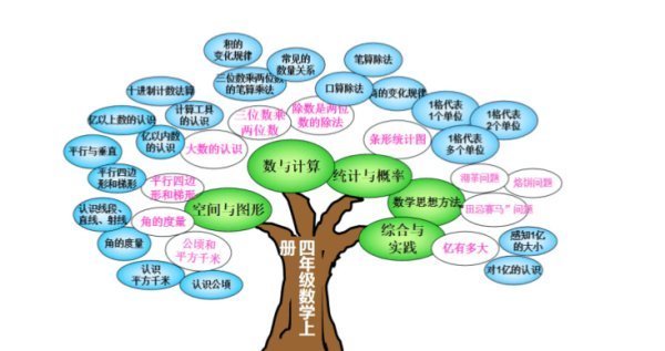 四年级上册数学树形图图片