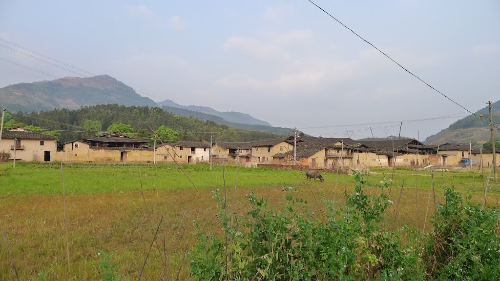 安仁村图册_360百科