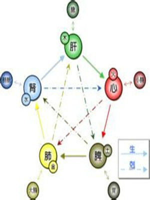 传统中国医学图册_360百科