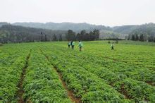 施秉县图册_360百科