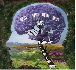 智识图册_360百科