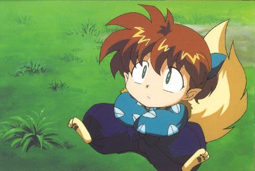 七宝图册_360百科