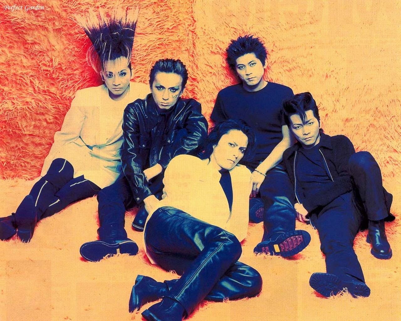 bucktick图册_360百科