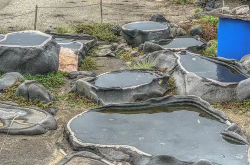 海花岛旅游攻略必去景点推荐