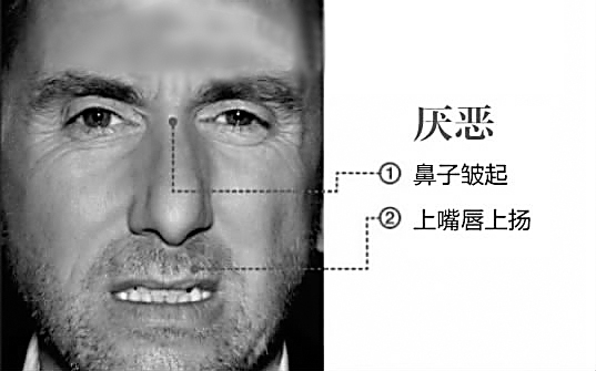 厌恶图册_360百科