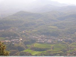 松树乡图册_360百科