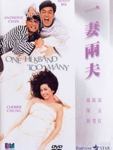 一妻两夫