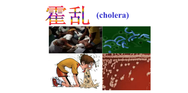 霍乱一般会有怎样的表现_360新知