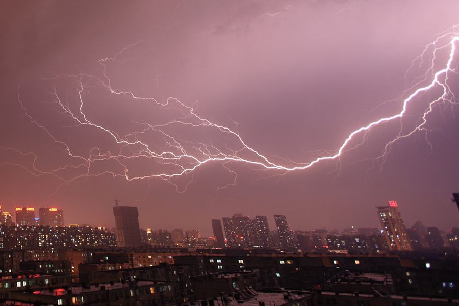 雷阵雨图册_360百科