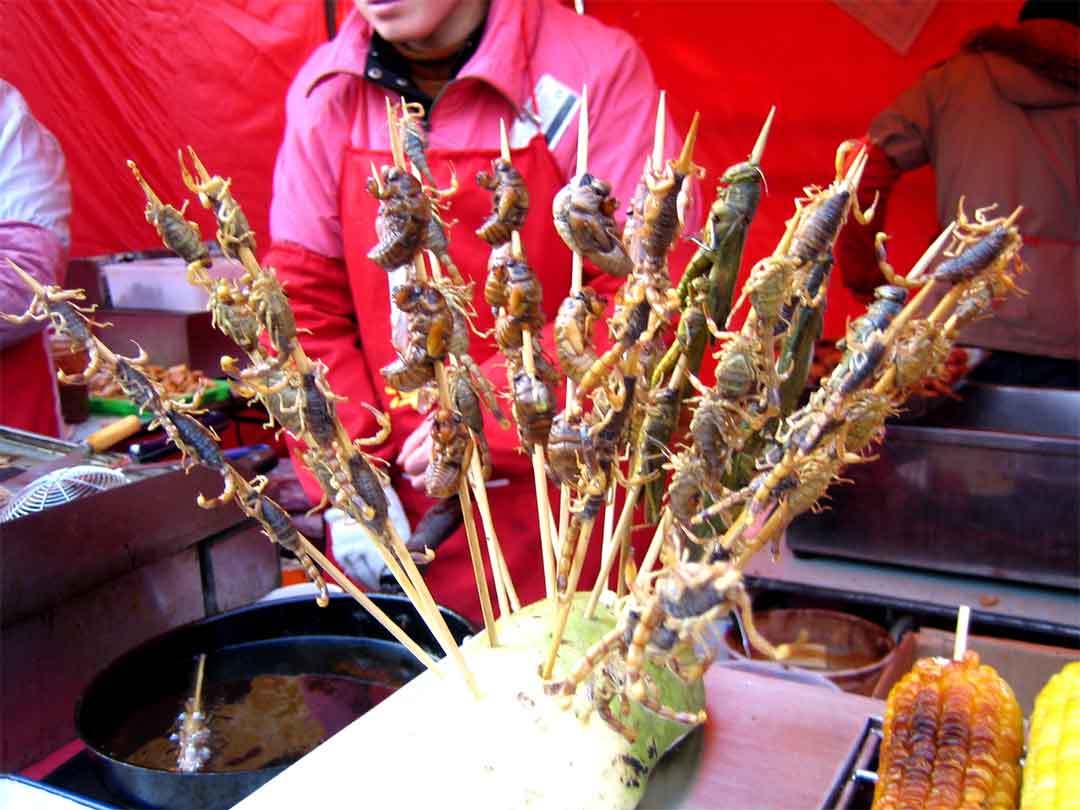 北京王府井小吃街的活蝎子25元一串，拍照的人多，吃的人却很少
