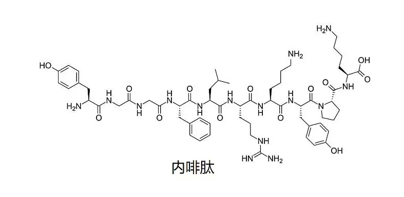 内啡肽图册_360百科