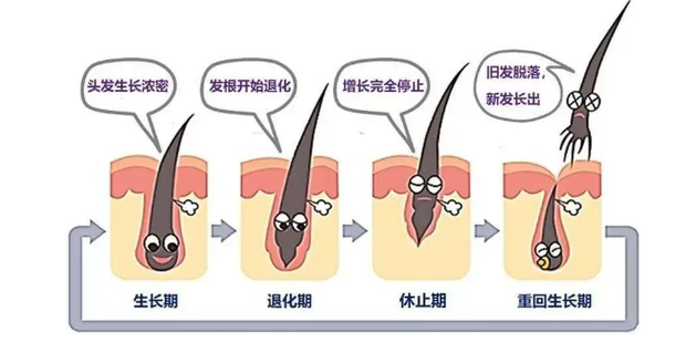 毛囊炎是怎么引起的_360新知