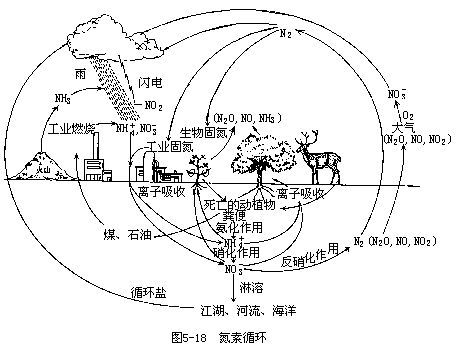 同化图册_360百科