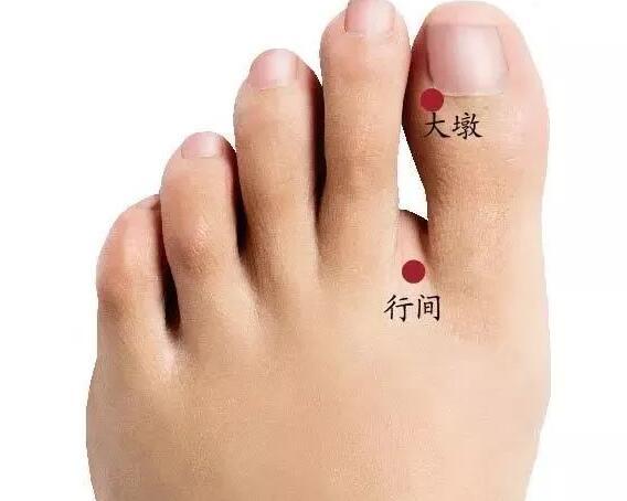 大敦图册_360百科