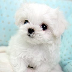 A开元棋牌- 开元棋牌官网 - 开元棋牌APP下载ndroid