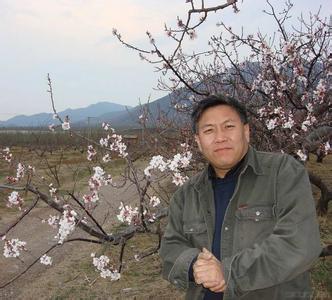 石谷图册_360百科