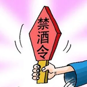禁酒令图册_360百科
