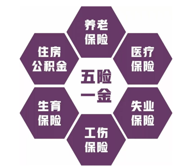 五险一金和社保的区别有哪些_360新知