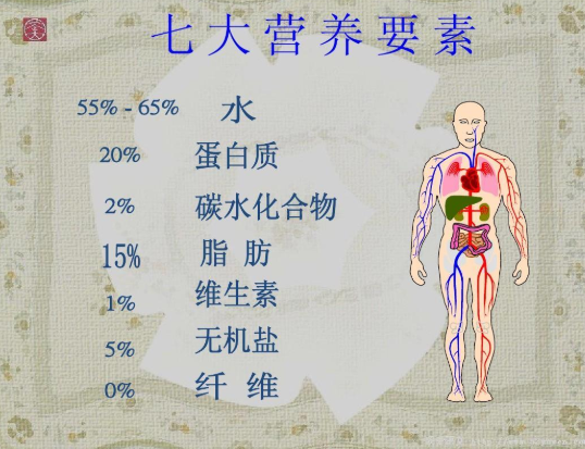 人体7大营养素是什么图片