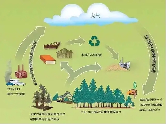 碳汇图册_360百科