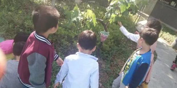 利用所学知识谈一谈如何进行场景设计制作