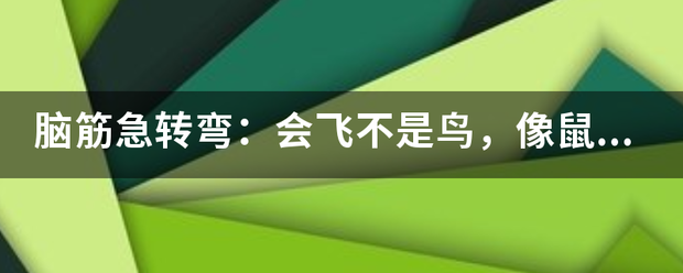 脑筋急转弯:会飞不是鸟,像鼠不是鼠.白天躲暗处,夜晚捉害虫.