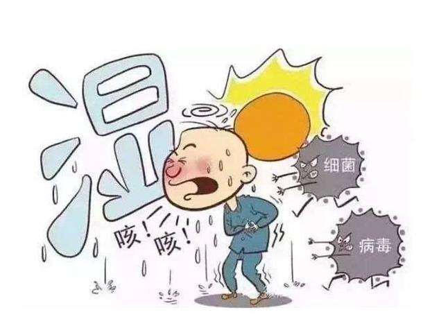 重温经典动画