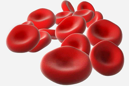 平均血红蛋白量图册_360百科