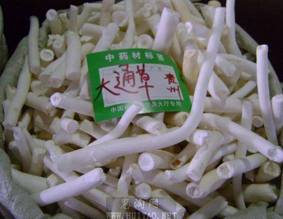 通草图册_360百科