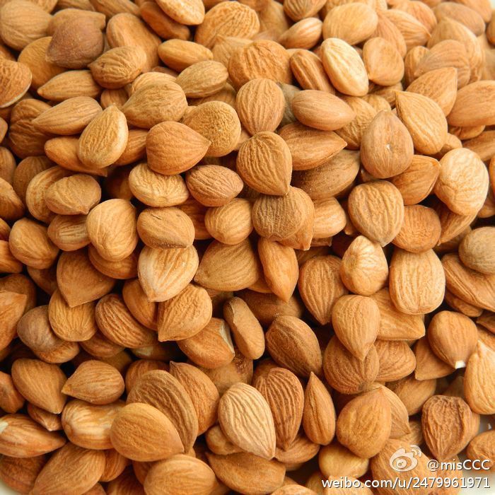 北杏仁图册_360百科