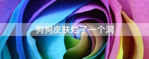 狗狗皮肤烂了一个洞?