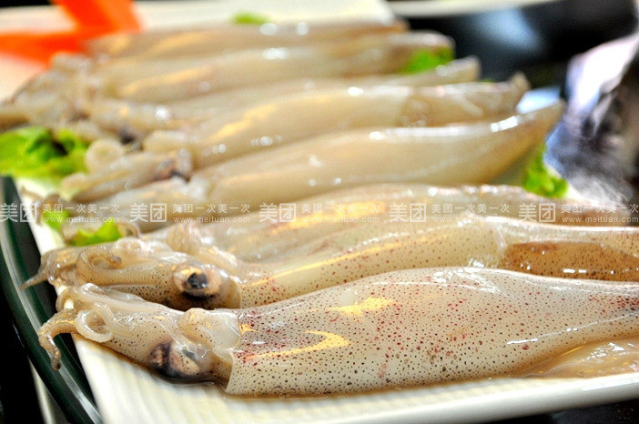 笔管鱼图册_360百科