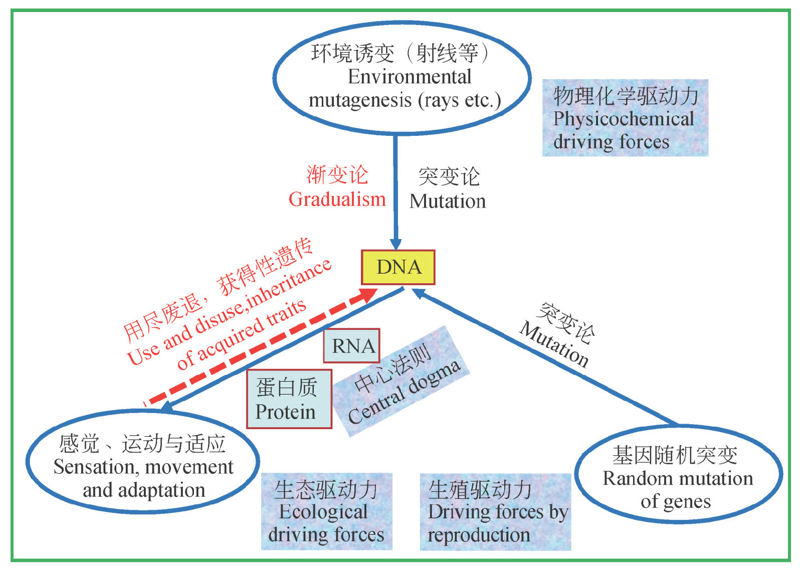 进化论图册_360百科