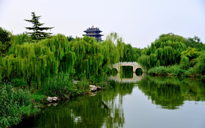 绿柳图册_360百科