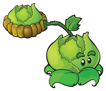 卷心菜投手图册_360百科