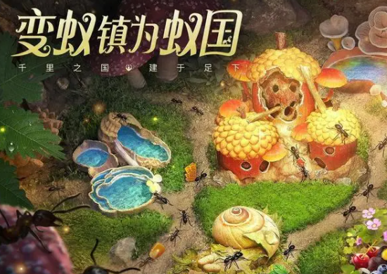 小小蚁国怎么玩