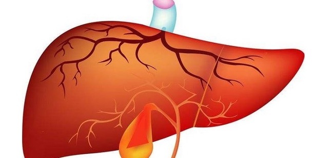 中医理论：[20]五脏--脾_360新知