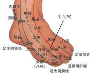 行间图册_360百科