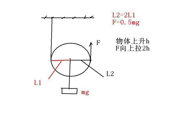 为什么动滑轮能省一半力